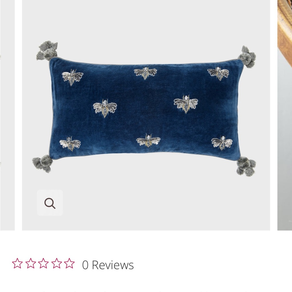 Joanna Buchanan Velvet Pillow
